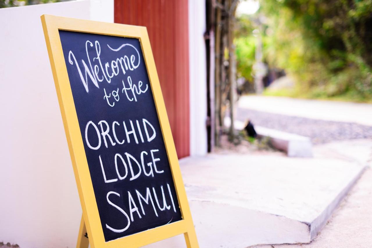 Orchid Lodge Samui - Bed & Breakfast Plage de Lamai Extérieur photo
