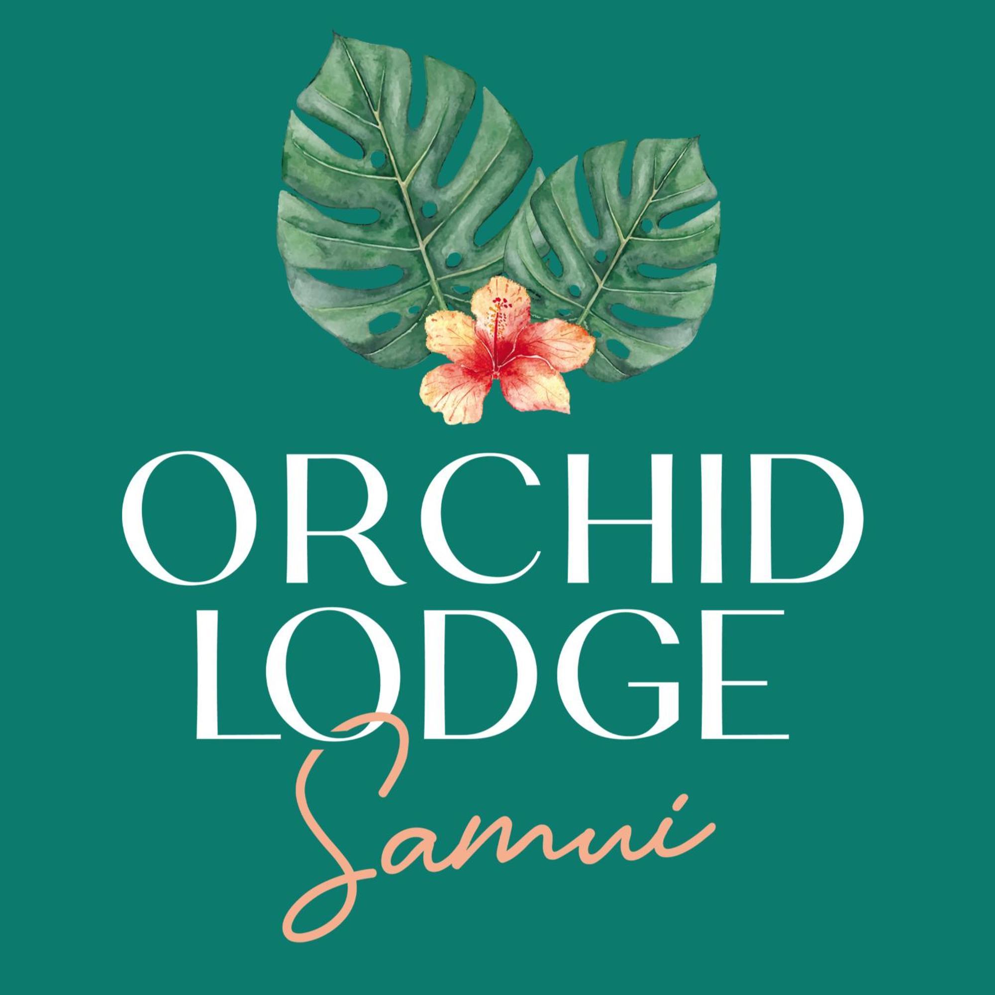 Orchid Lodge Samui - Bed & Breakfast Plage de Lamai Extérieur photo