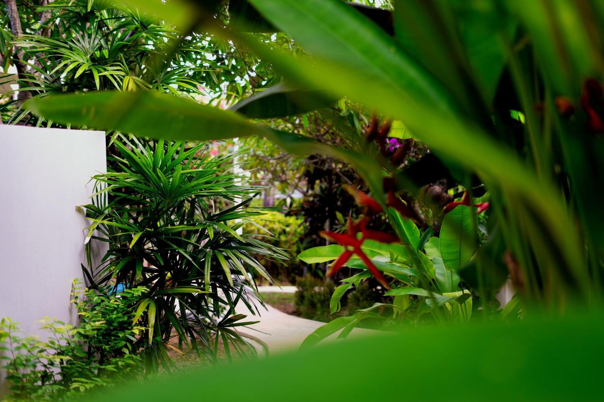 Orchid Lodge Samui - Bed & Breakfast Plage de Lamai Extérieur photo