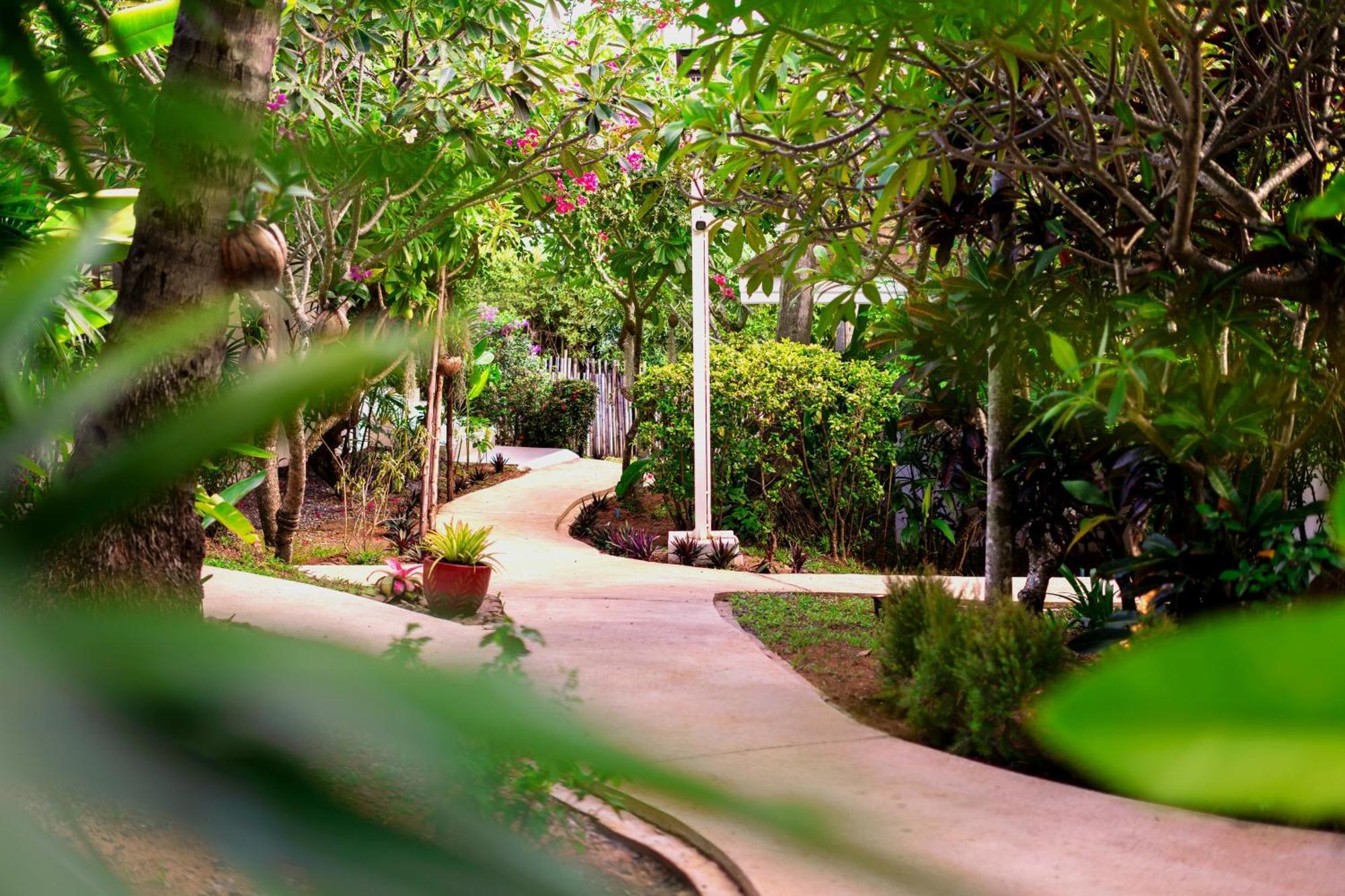 Orchid Lodge Samui - Bed & Breakfast Plage de Lamai Extérieur photo